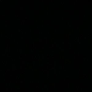 Meet your Posher, Rayanna